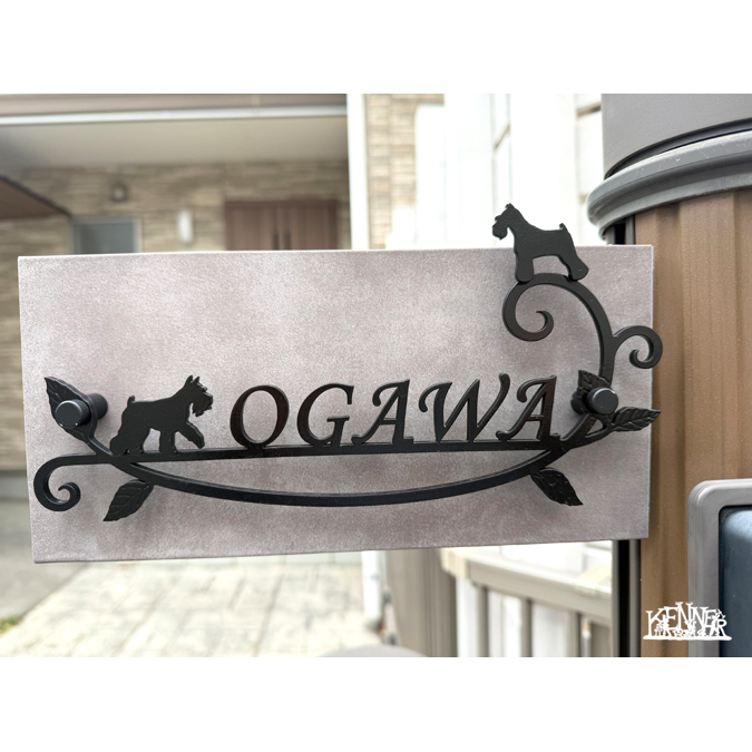 ���[�g�A�C�A���@�{�H��@�\�D